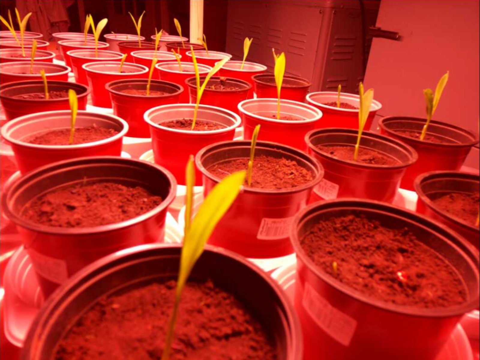 Попередні дослідження за тематикою проєкту Попередні дослідження за тематикою проєкту